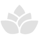 Logo NewDent