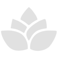 Logo NewDent