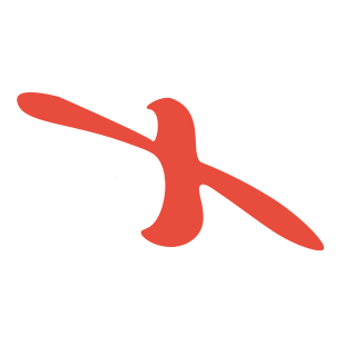 Logo Dent-X Timișoara
