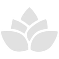 Logo NewDent